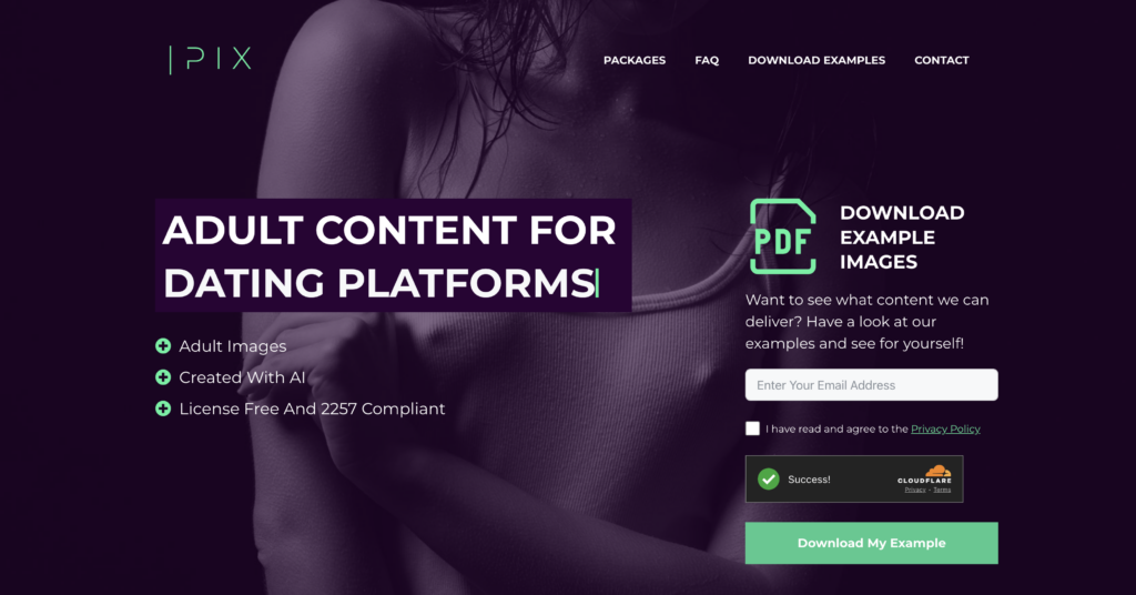 How we help CompliantPix 1 compliantpix, generating multiple images of the same model